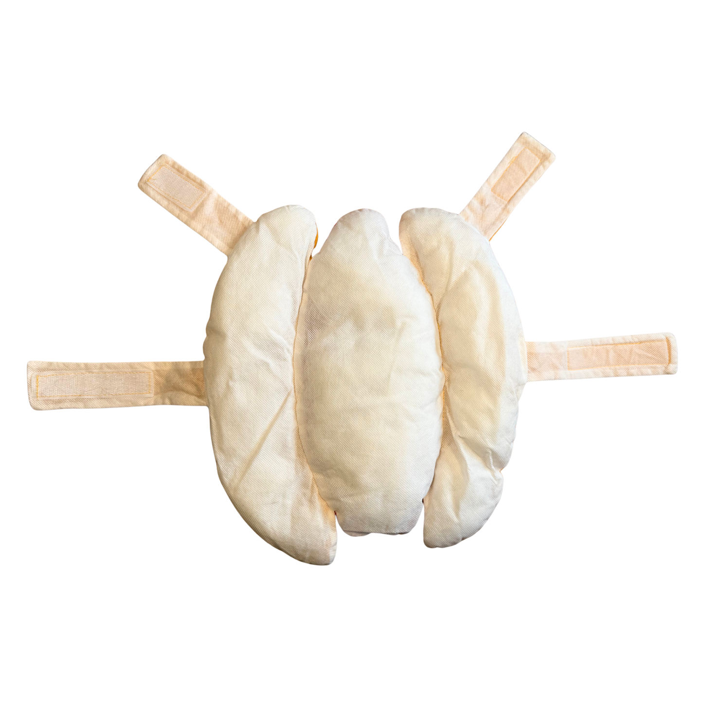 Hot Dog Halloween Pet Costume