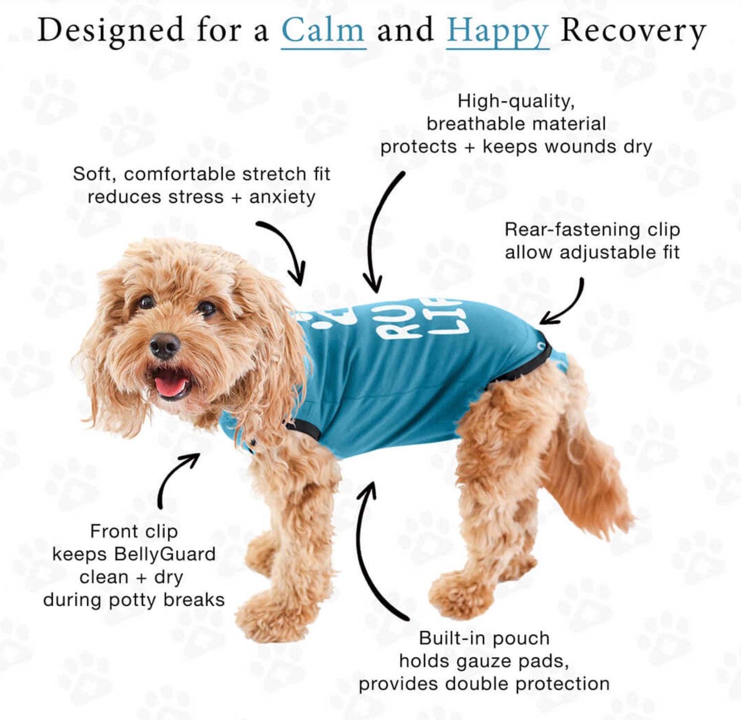 BellyGuard Dog Recovery Onesie Grey - M