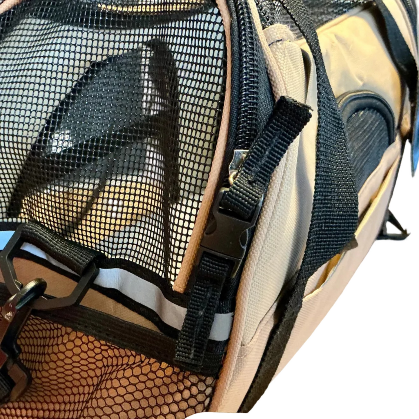 Paws & Pals Soft-Sided Pet Carrier