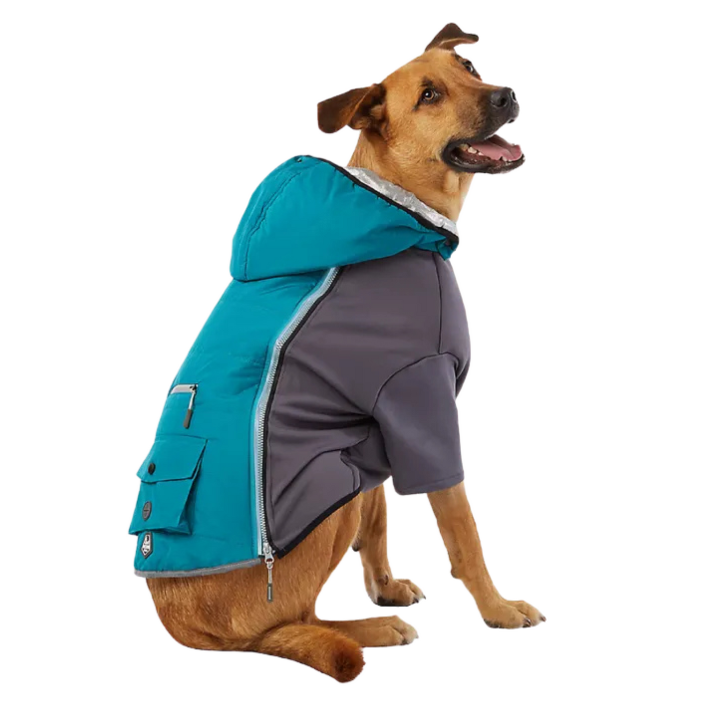 Arcadia Trail Dog Coat - XXL