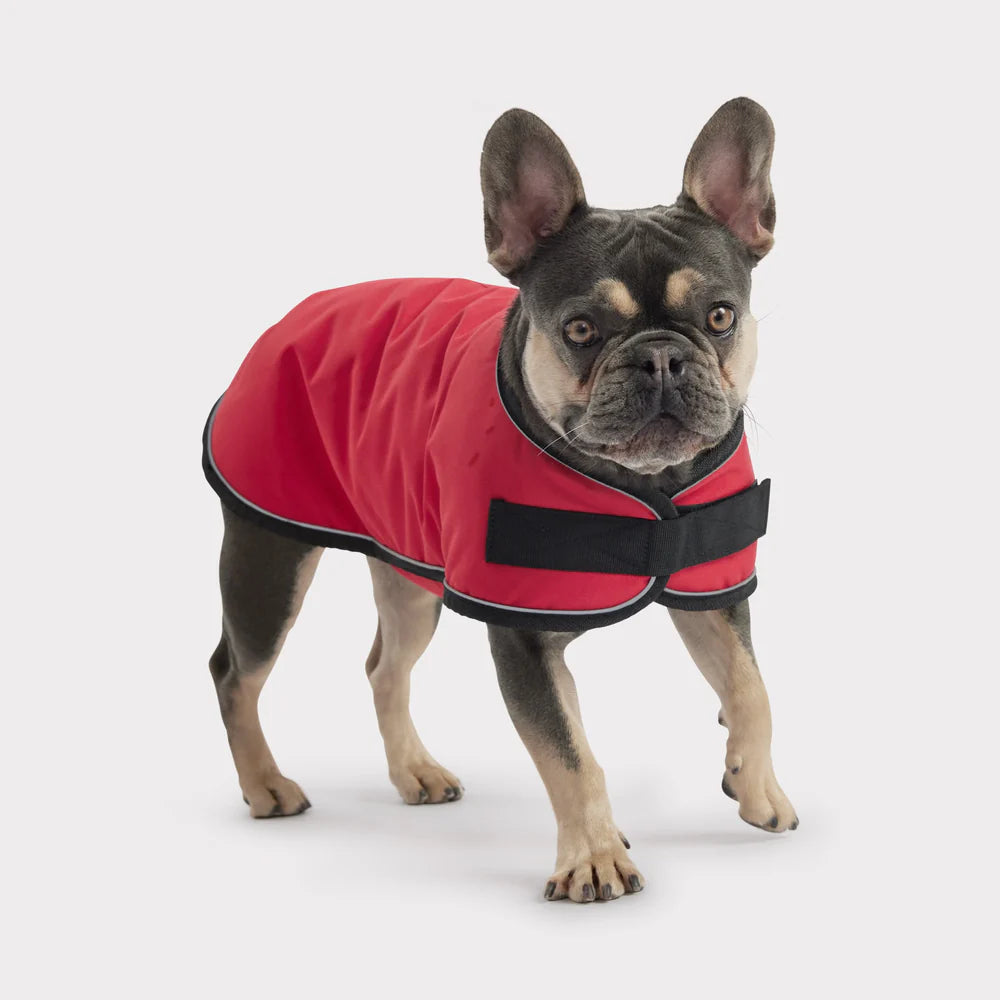 GF Pet Blanket Red Jacket - 2XL
