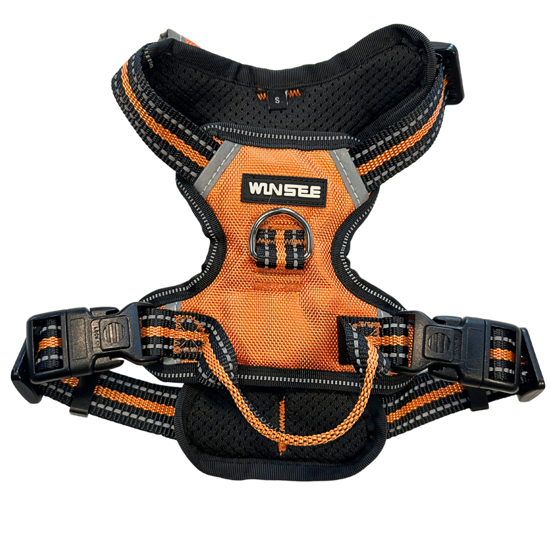 WINSEE Orange Dog Harnesses & Dog Collar