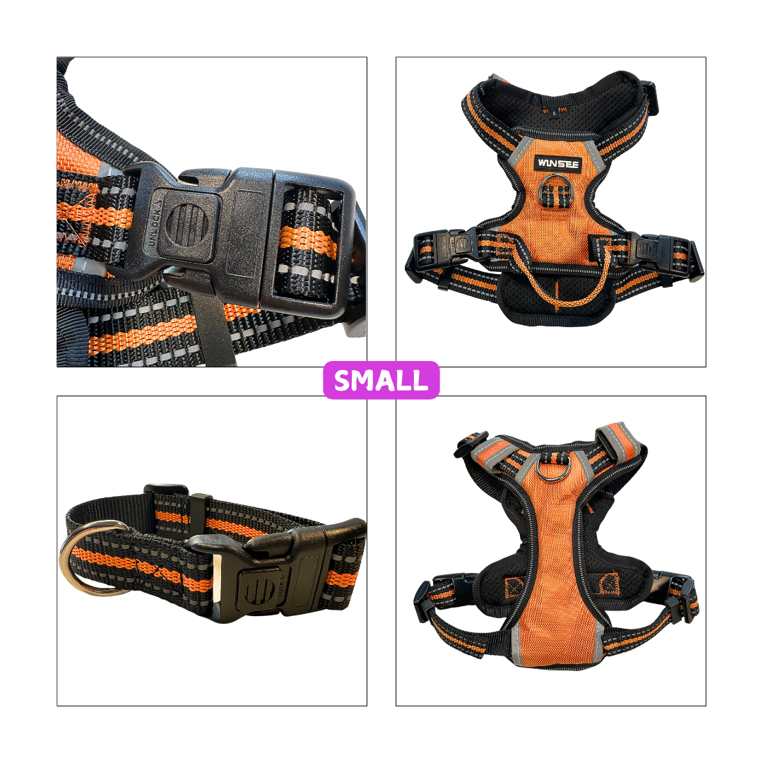 WINSEE Orange Dog Harnesses & Dog Collar