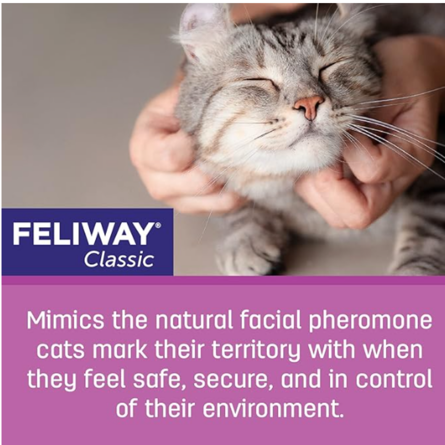 FELIWAY Classic Plug-In Calming Diffuser and 30 Day Refill for Cats
