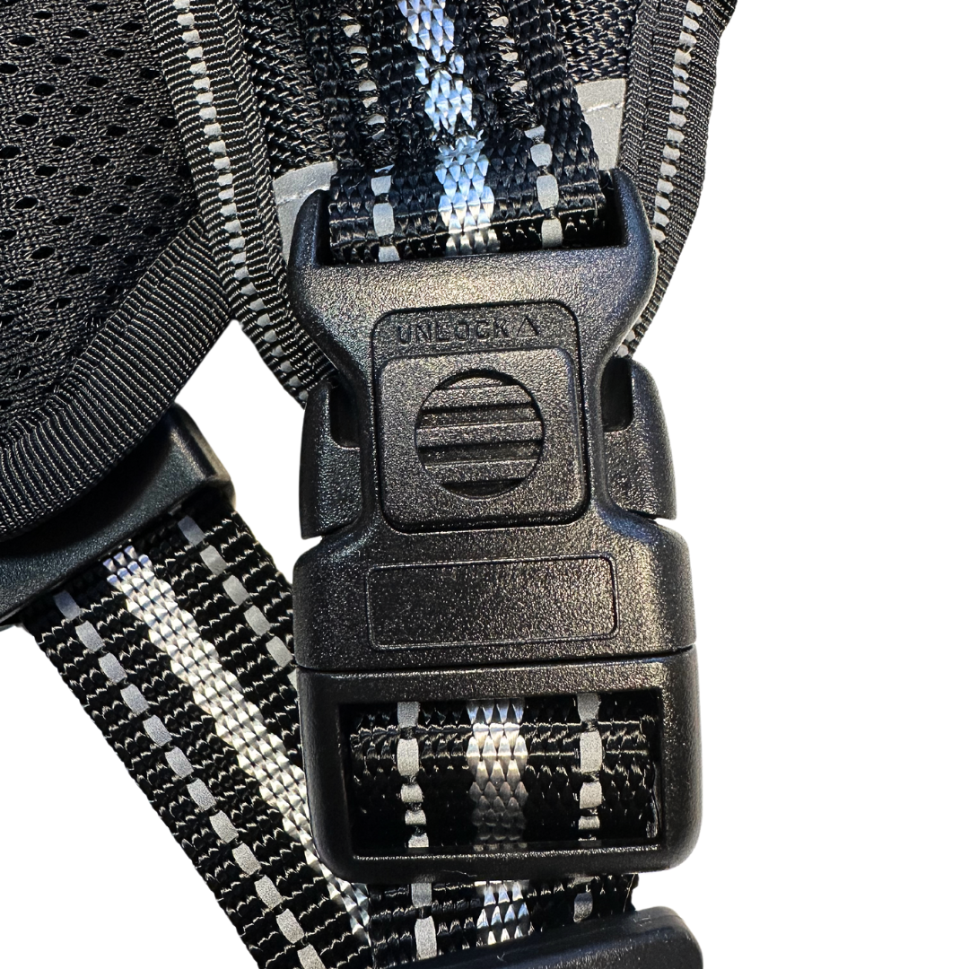 WINSEE Black Dog Harnesses & Dog Collar