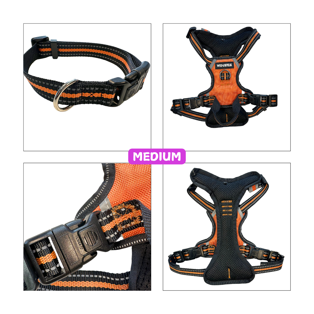 WINSEE Orange Dog Harnesses & Dog Collar