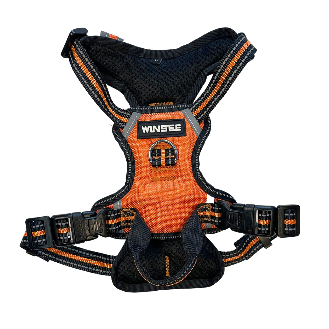 WINSEE Orange Dog Harnesses & Dog Collar