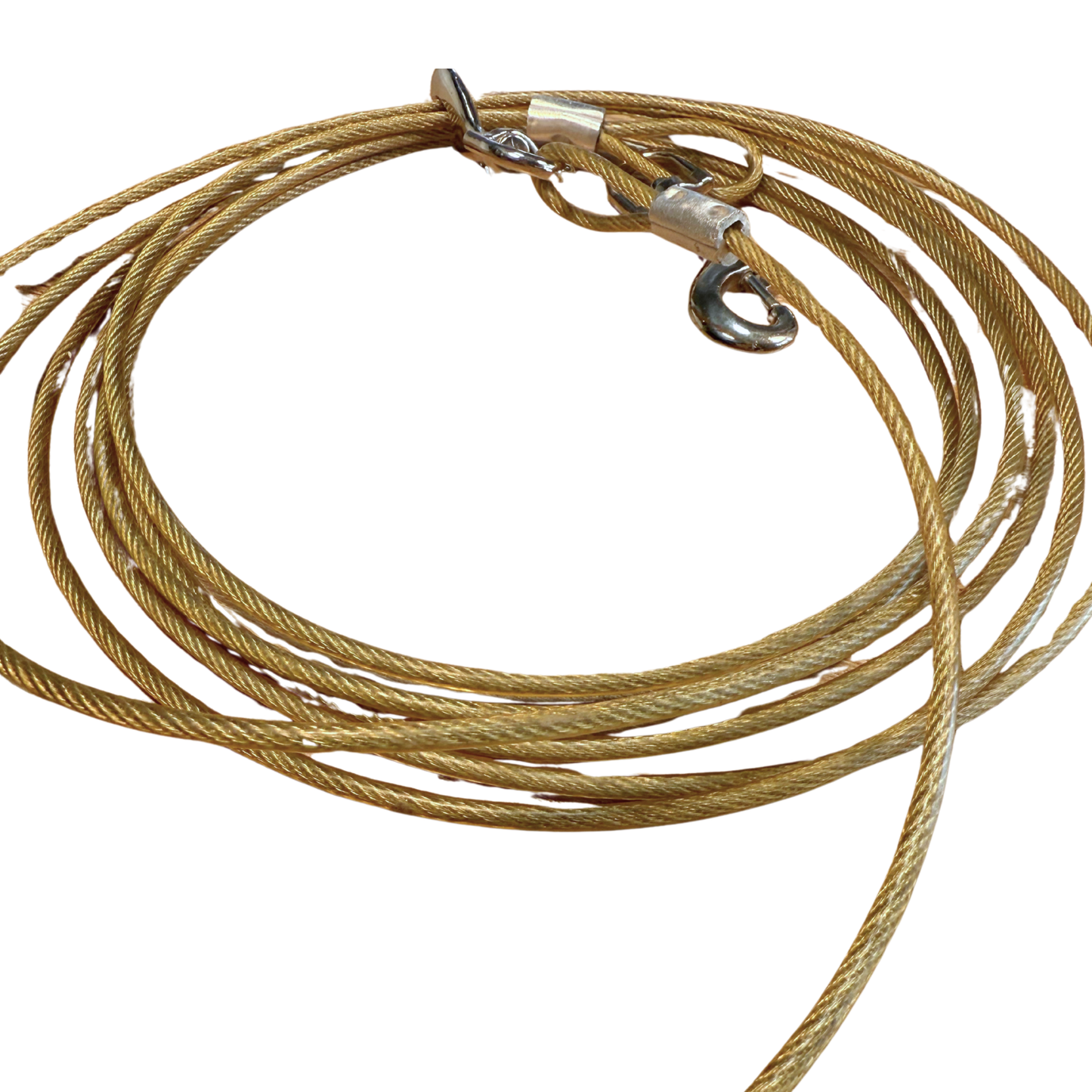Dog Tie Out Cable