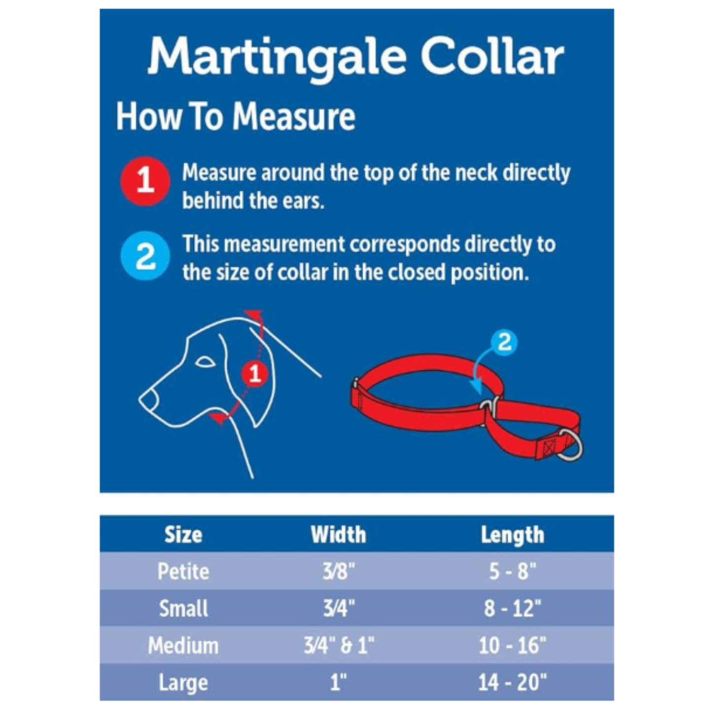 PetSafe Martingale Collar - S/P