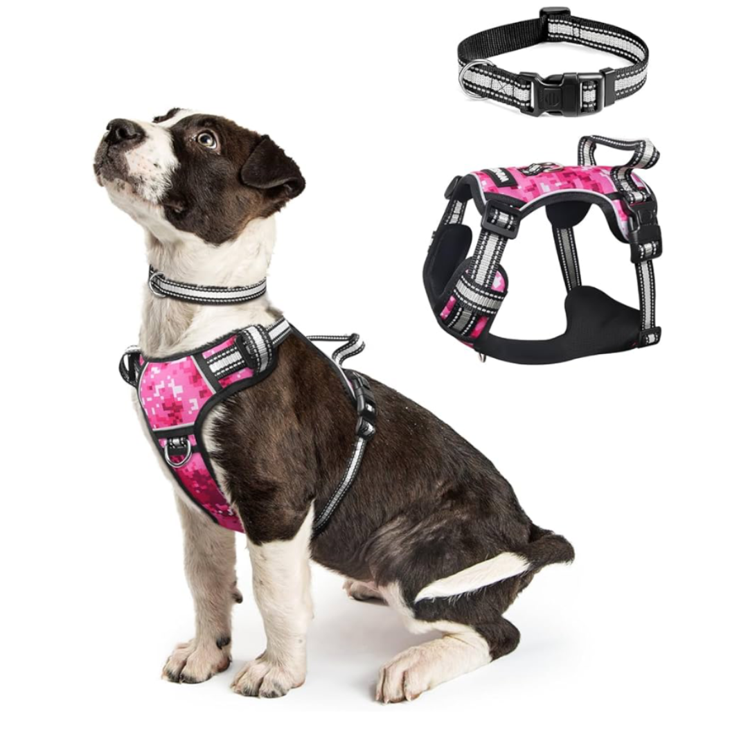 WINSEE Pink Dog Harnesses & Dog Collar