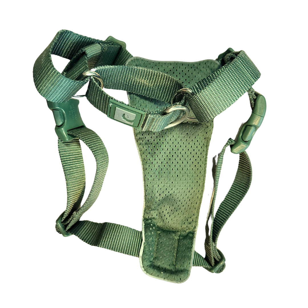 RC Pets Tempo No Pull Harness