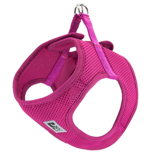 RC Pets Solid Step In Cirque Dog Harness - XL