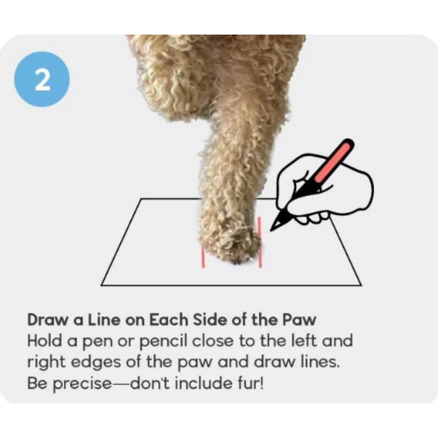 Walkee Paws - Suspender Boot Leggings