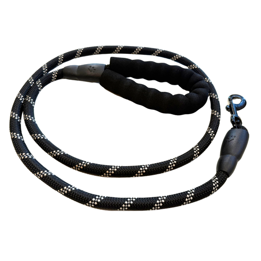 Reflective Nylon Dog Leash - 5'