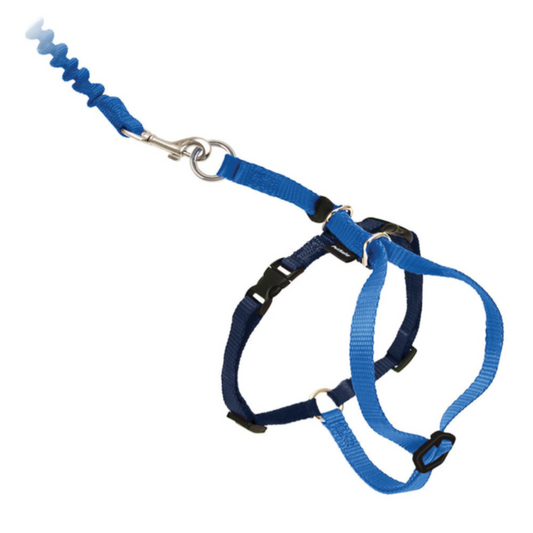 Easy Walk - Come With Me Kitty Cat Harness & Bungee Leash