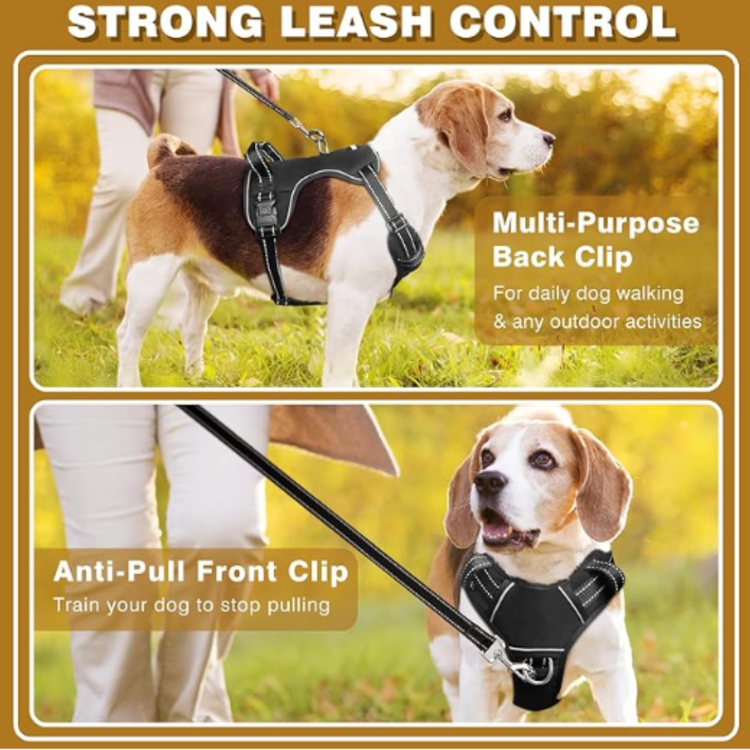 WINSEE Black Dog Harnesses & Dog Collar