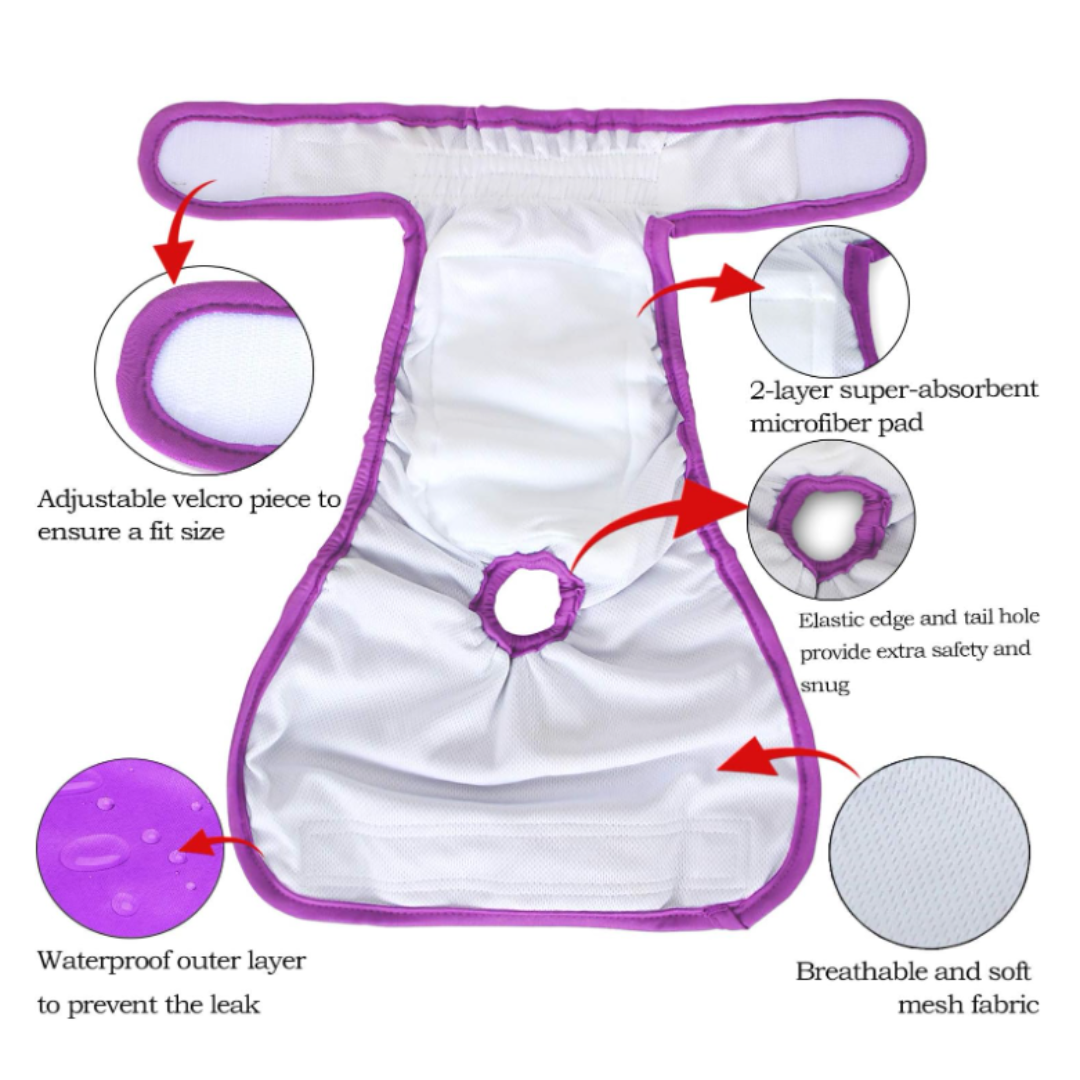 Teamoy Washable Dog Diapers