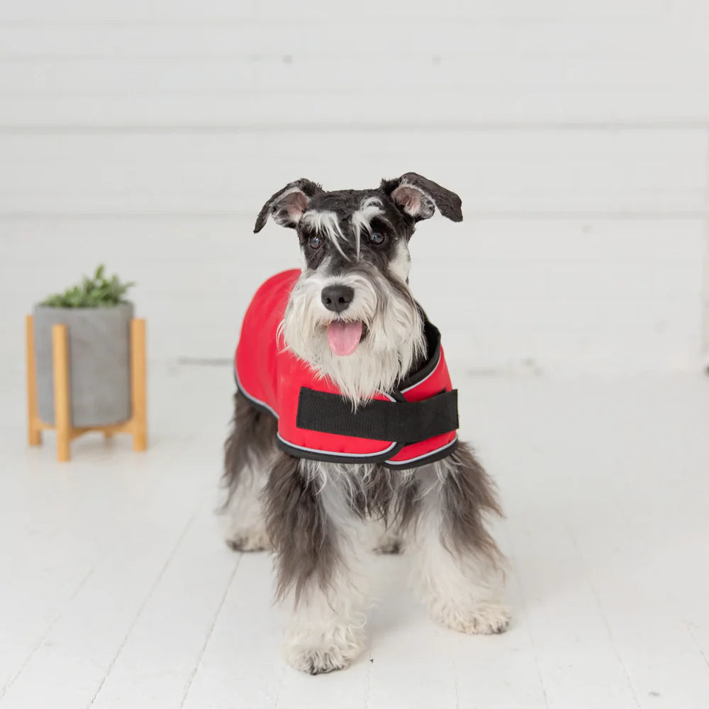 GF Pet Blanket Red Jacket - 2XL