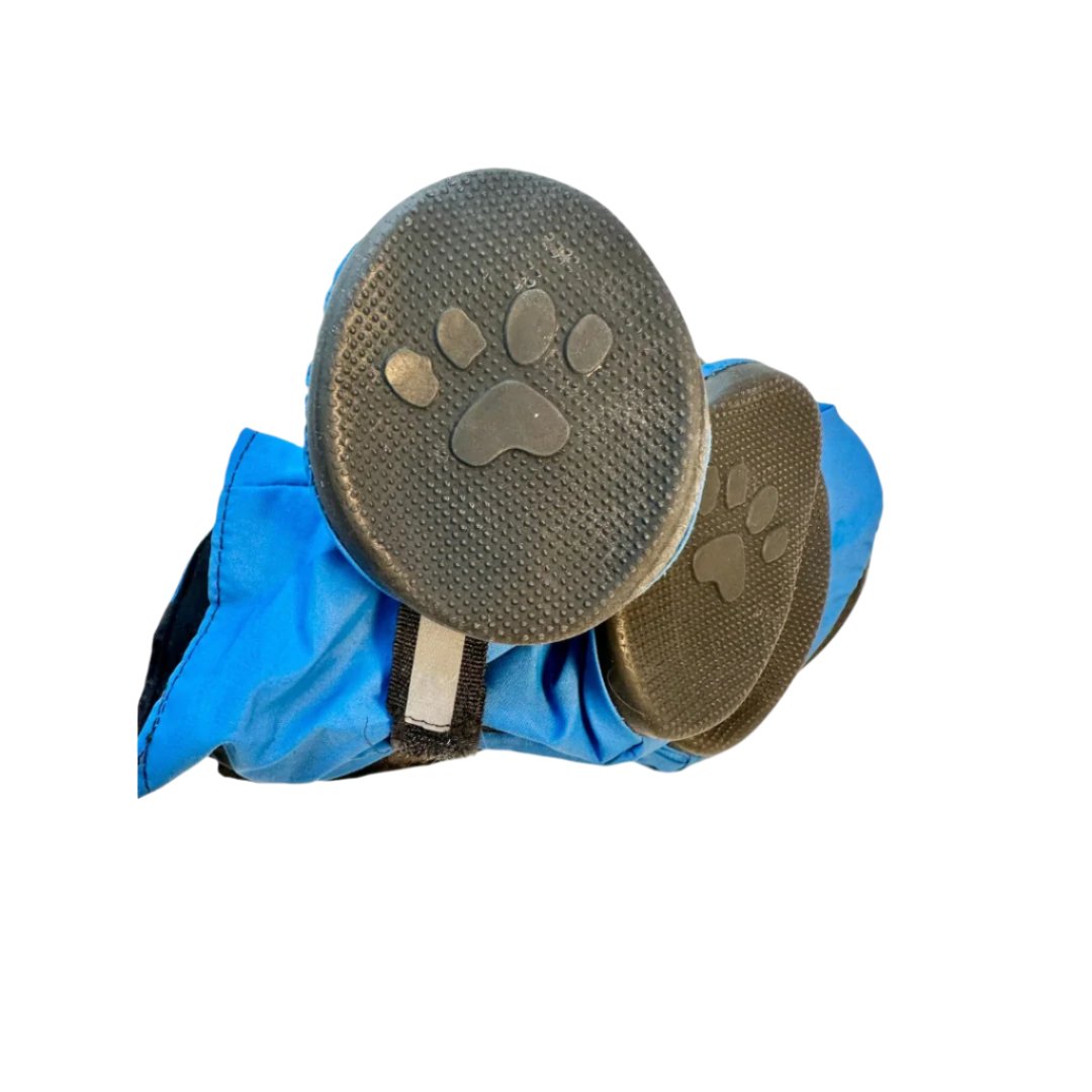 Top Paw Dog Boots