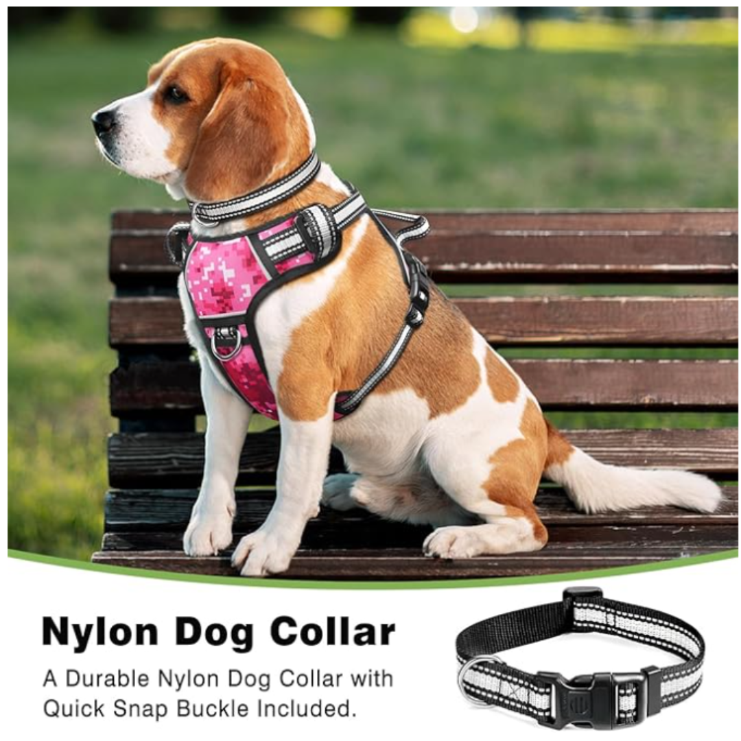 WINSEE Pink Dog Harnesses & Dog Collar