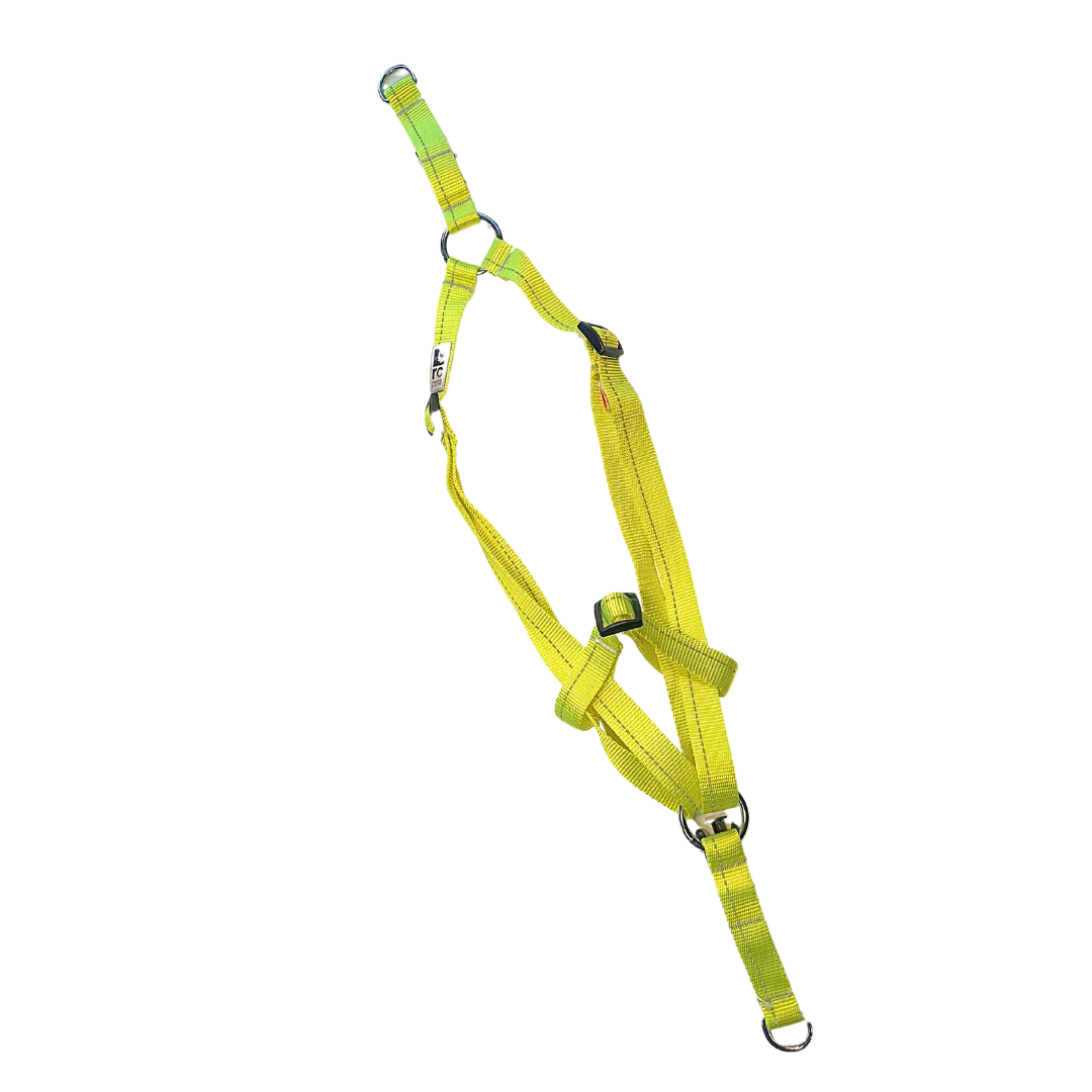 RC Pets Primary Step In Harness