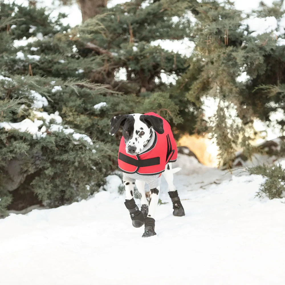 GF Pet Blanket Red Jacket - 2XL