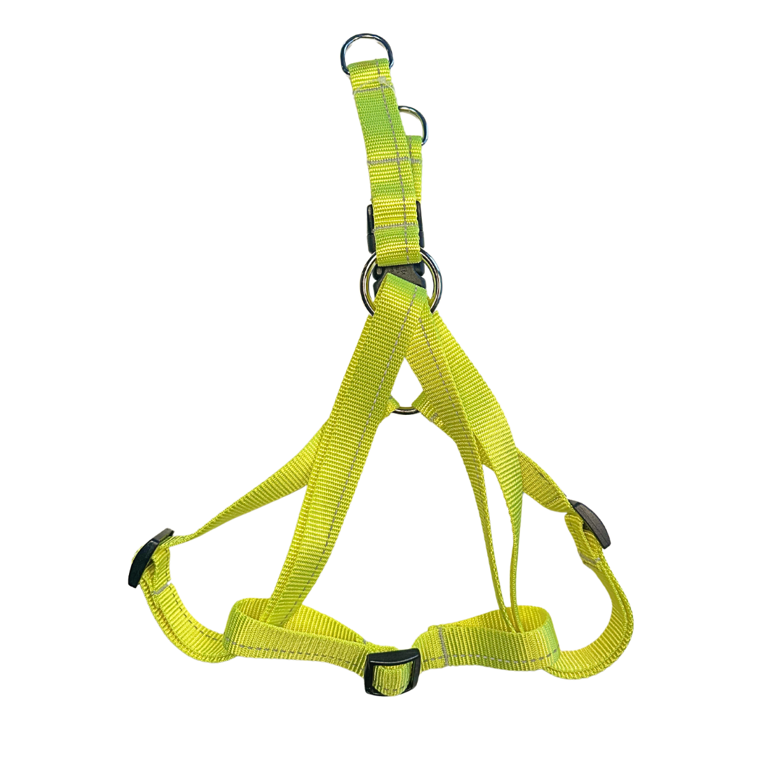 RC Pets Primary Step In Harness