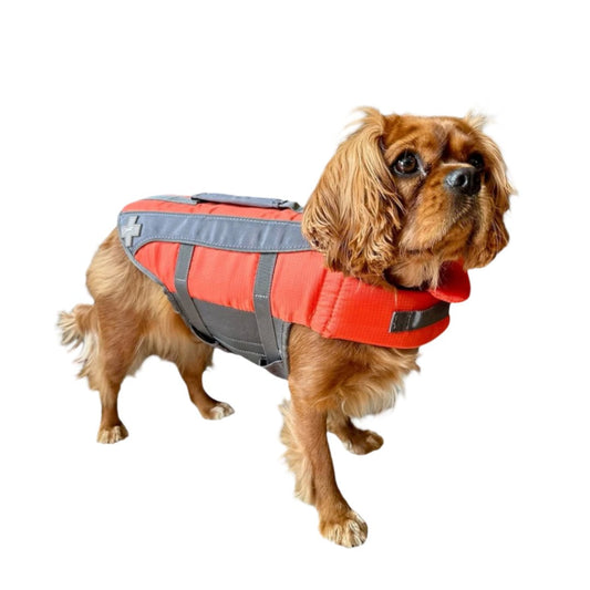 Top Paw Dog Life Jacket