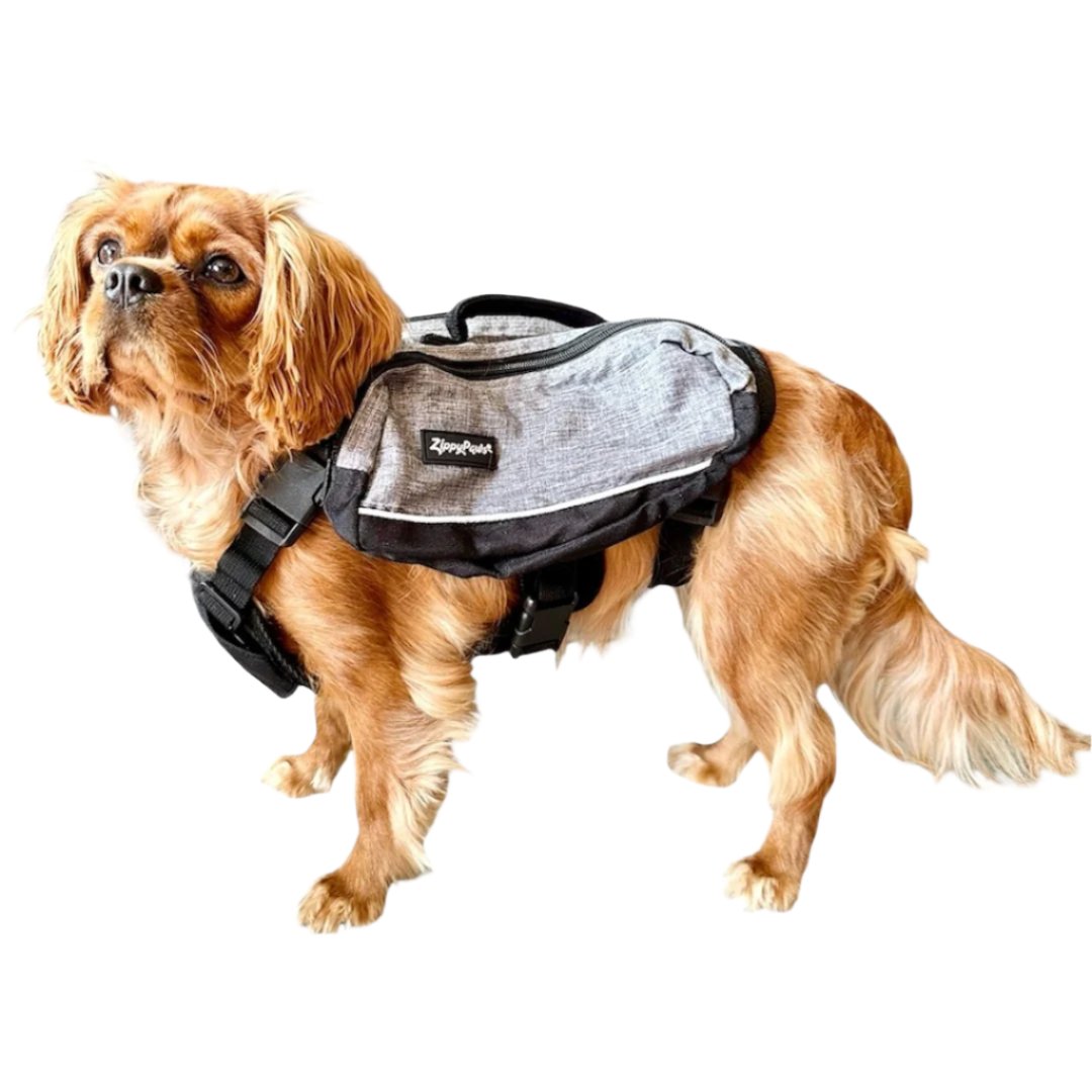 Zippy Paws Adventure Dog Backpack