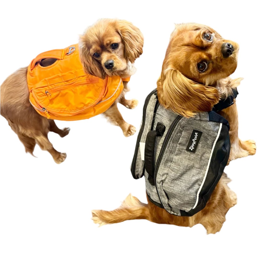 Zippy Paws Adventure Dog Backpack