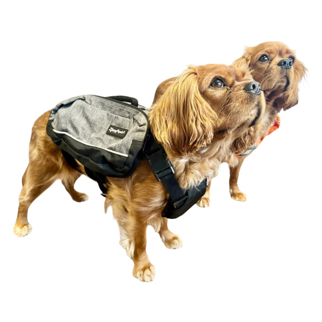 Zippy Paws Adventure Dog Backpack