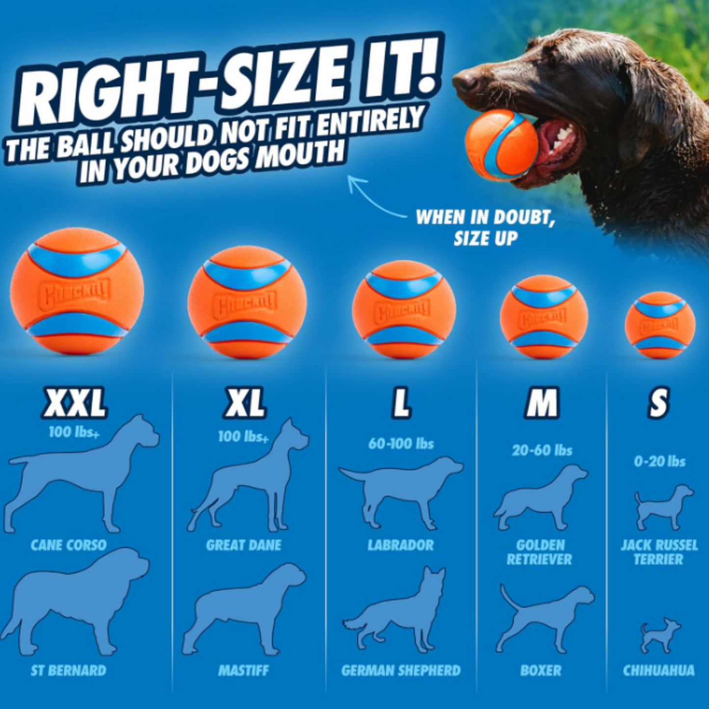 Chuckit! Sport Launcher 26M Dog Toy