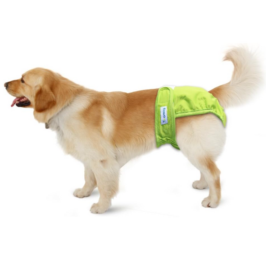 Teamoy Washable Dog Diapers