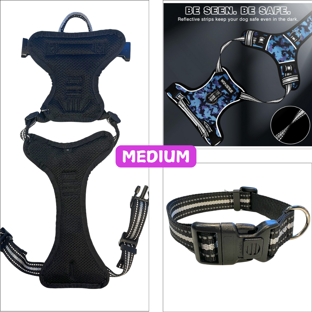 WINSEE Blue Dog Harnesses & Dog Collar