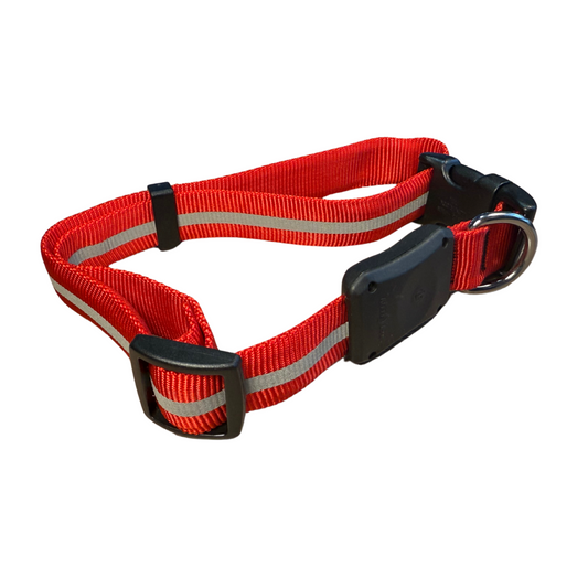 Nite Ize Dawg LED Dog Collar