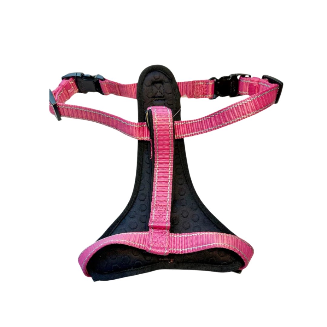 KONG Neoprene Max Padded Harness