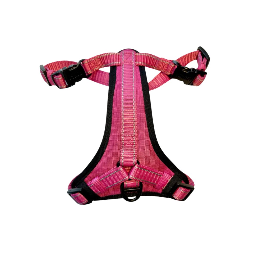 KONG Neoprene Max Padded Harness