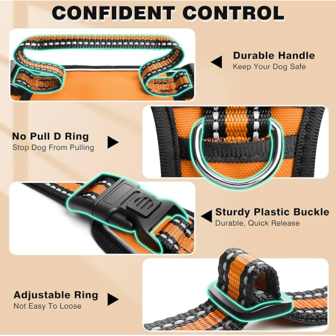 WINSEE Orange Dog Harnesses & Dog Collar