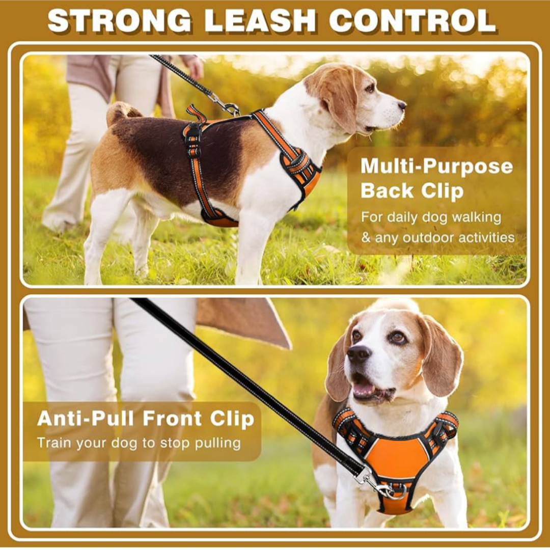 WINSEE Orange Dog Harnesses & Dog Collar