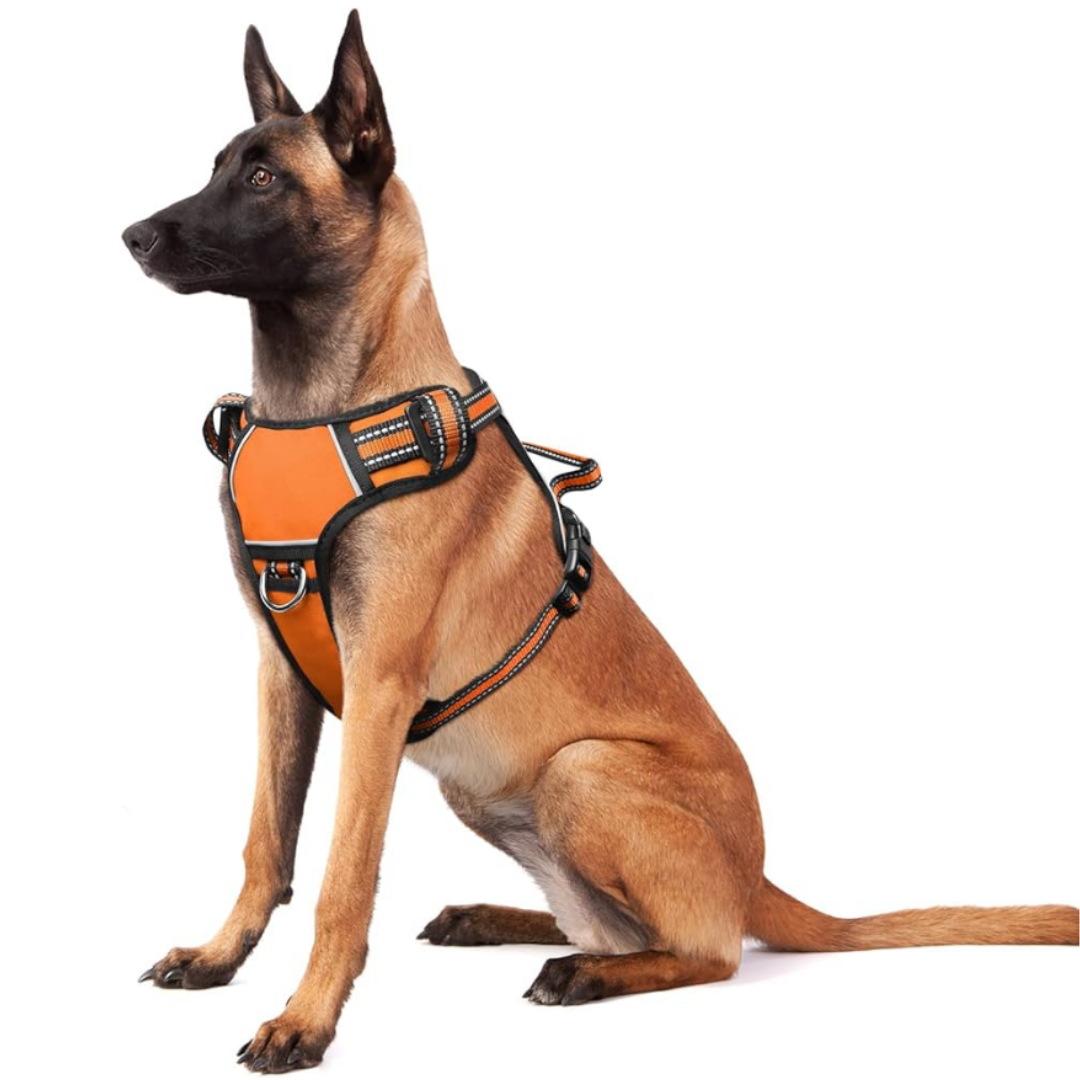 WINSEE Orange Dog Harnesses & Dog Collar