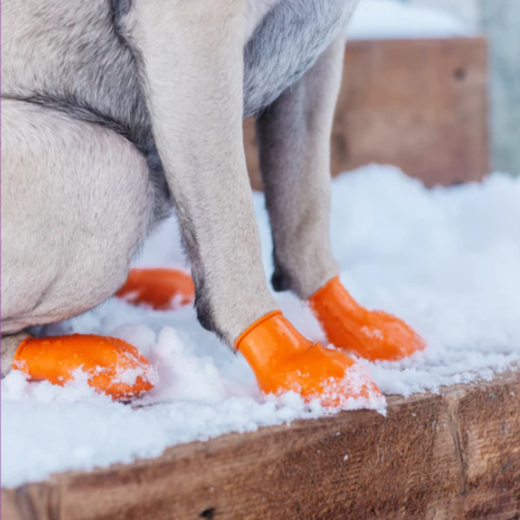 PawZ Rubber Dog Boots