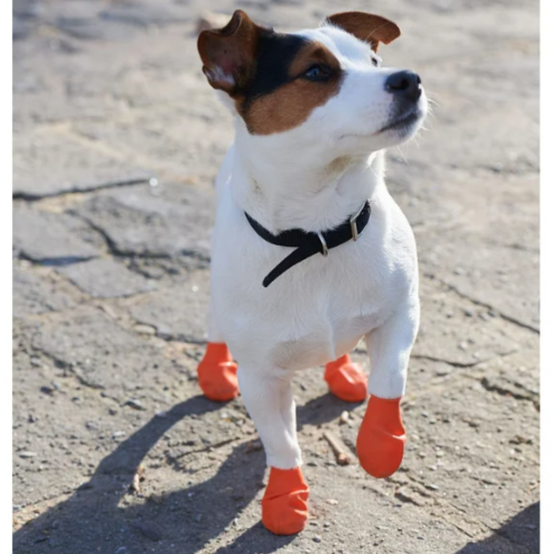 PawZ Rubber Dog Boots