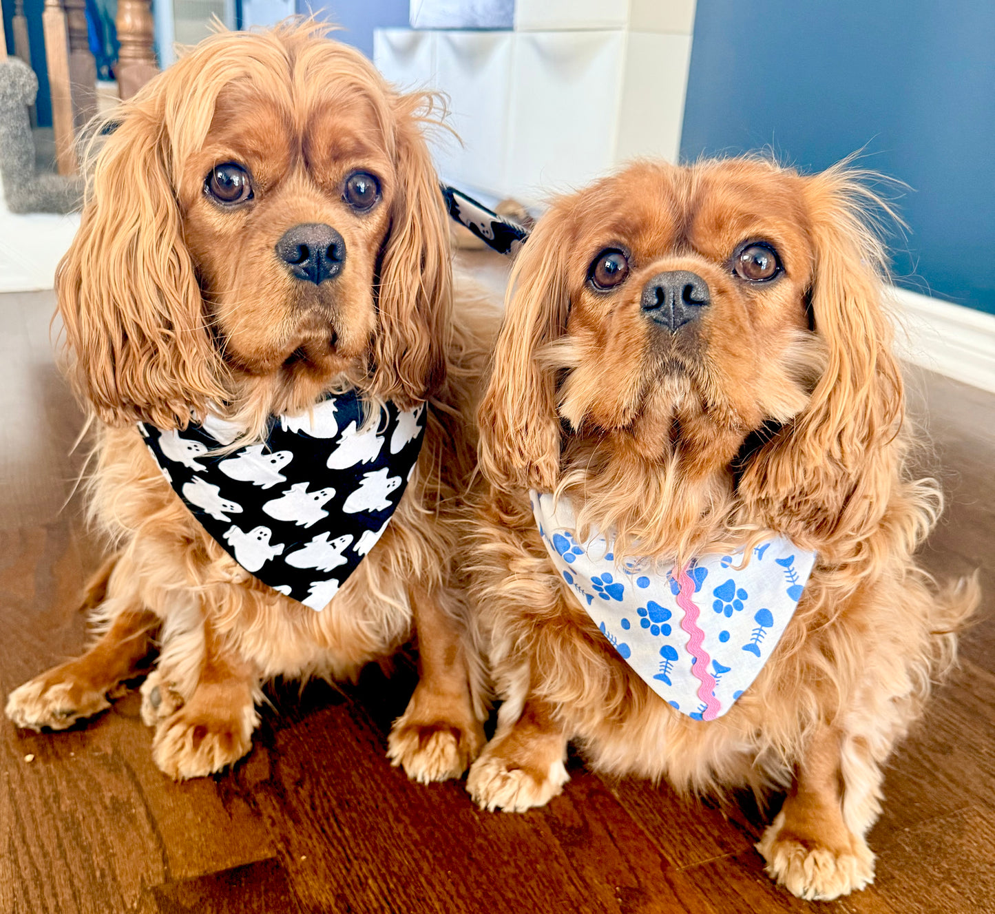 Summer Reversible Pet Bandanas