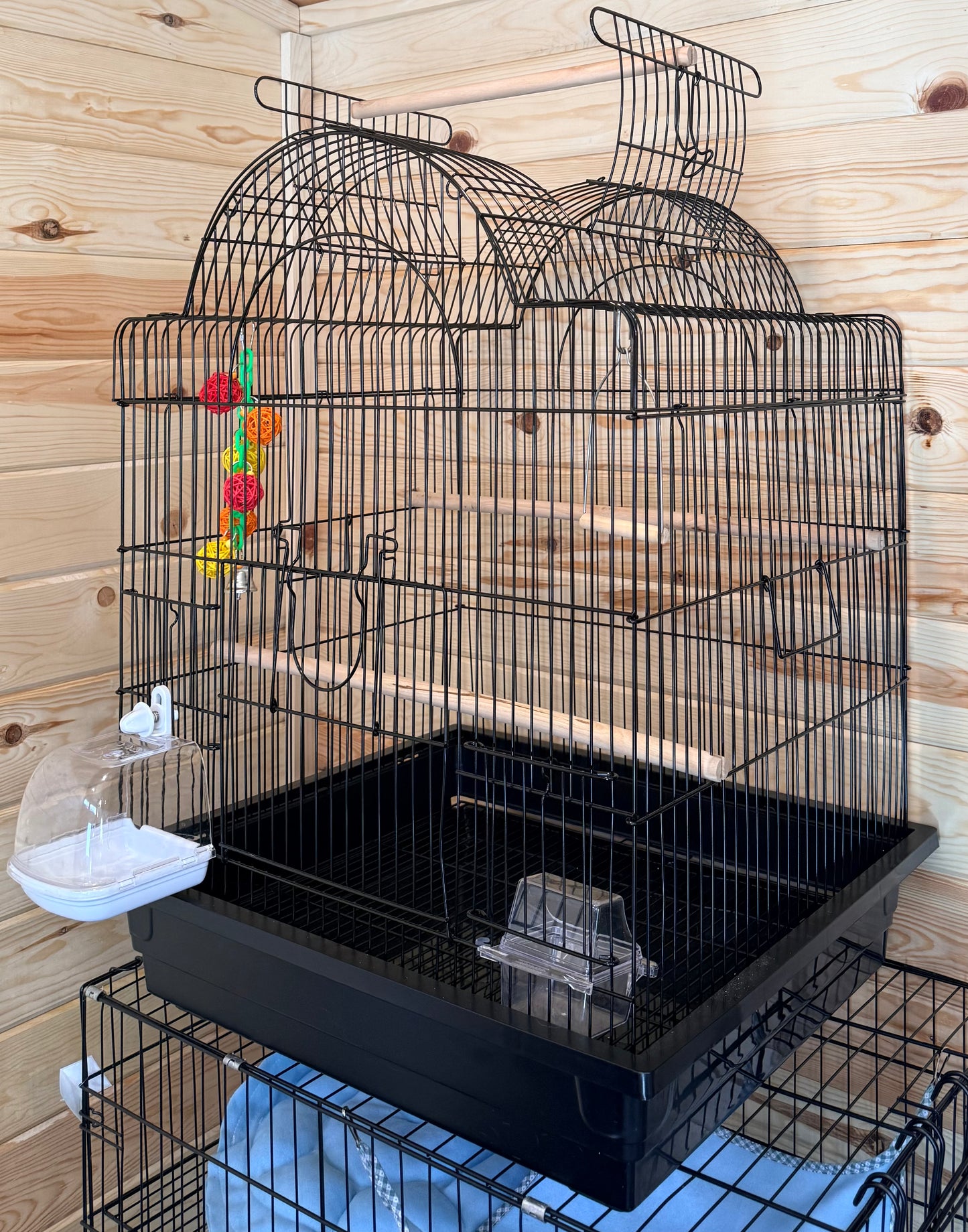 All Living Things Open-Air Bird Cage