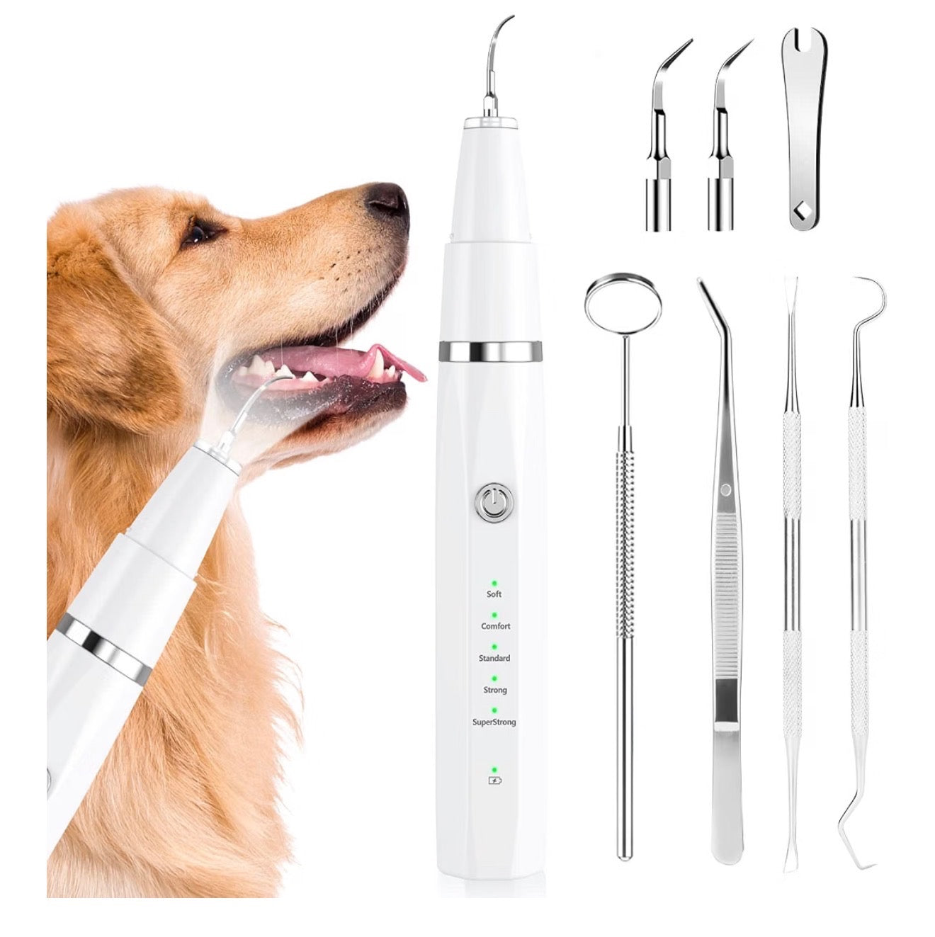 NI-SHEN Dog Plaque Remover for Teeth