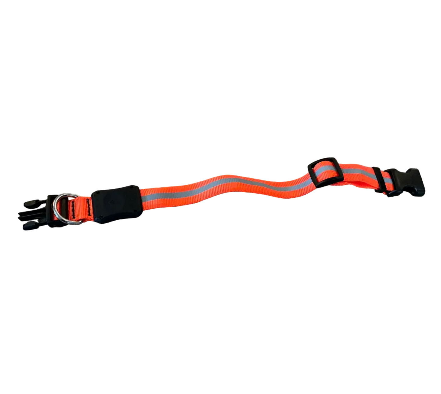 Nite Ize Dawg LED Dog Collar