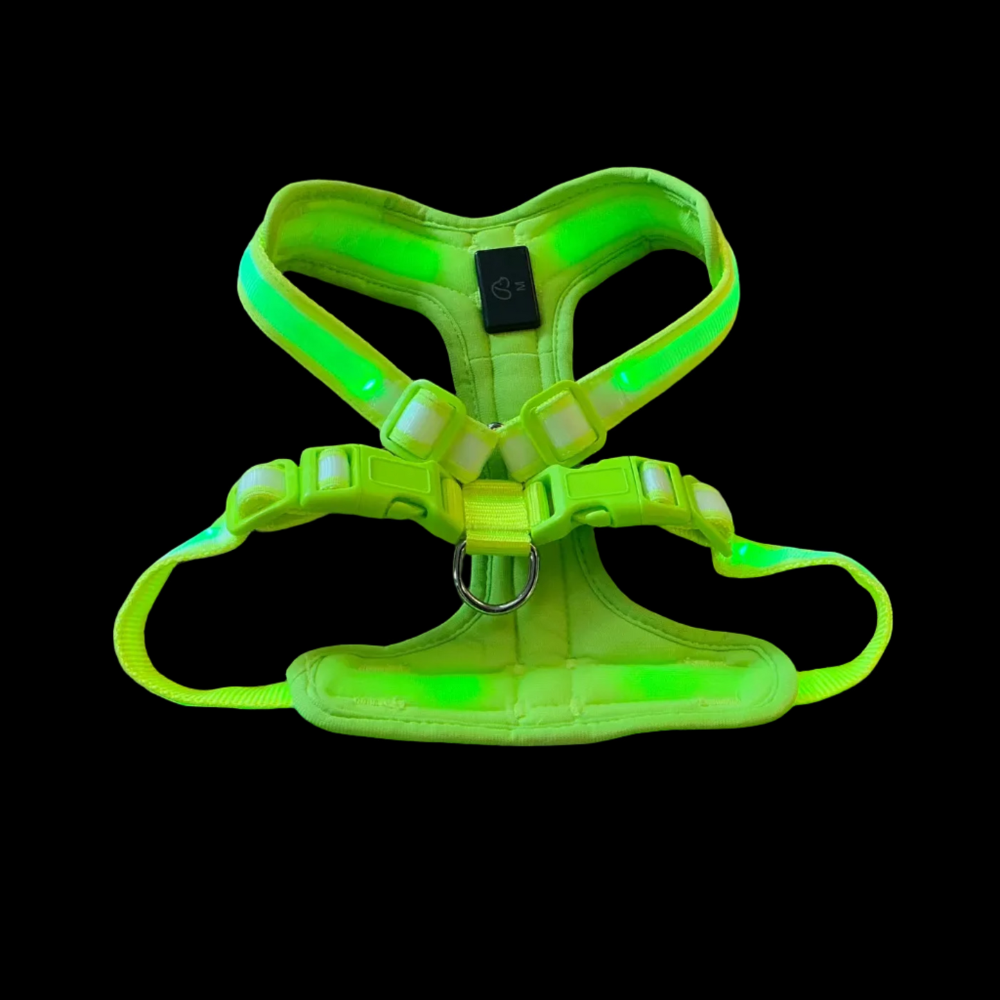 Rechargeable LED Light-Up Dog Harness