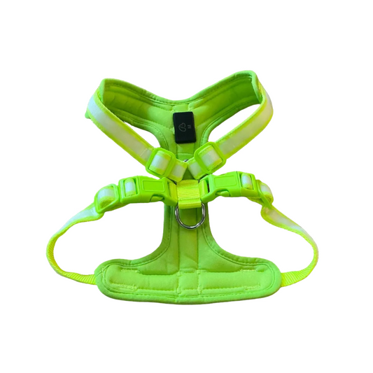Rechargeable LED Light-Up Dog Harness