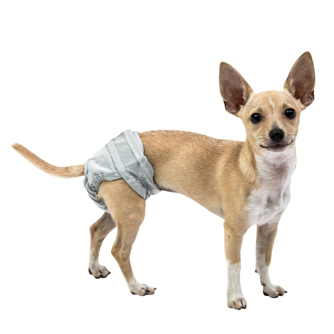 Pooch Pad PoochPants Reusable Diaper