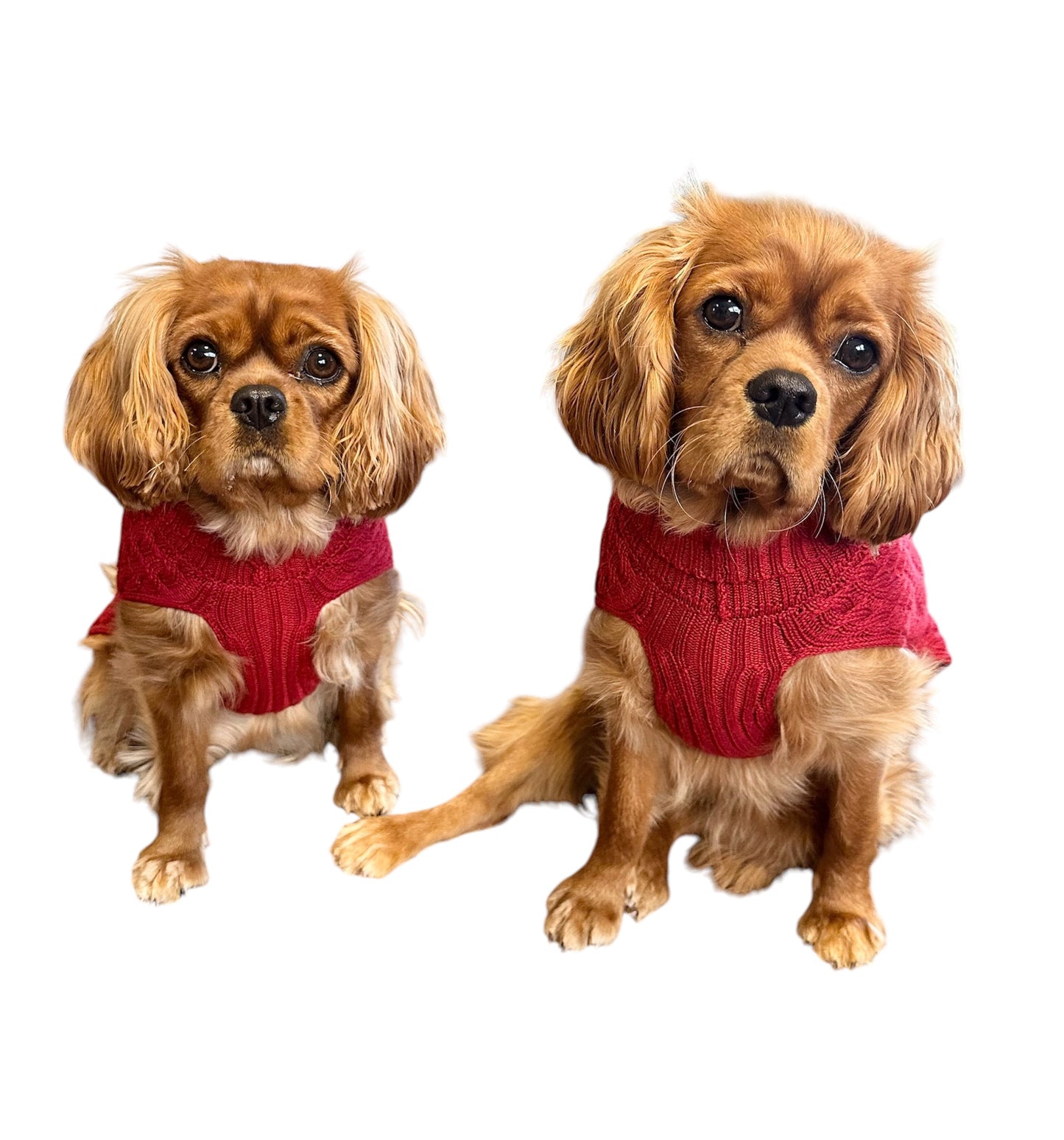 Noodle & Friends Wool Blend Dachshund sweater